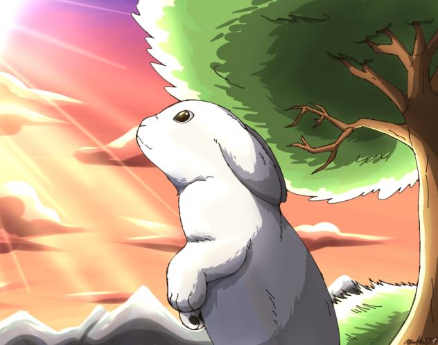 Bunny at Sunset