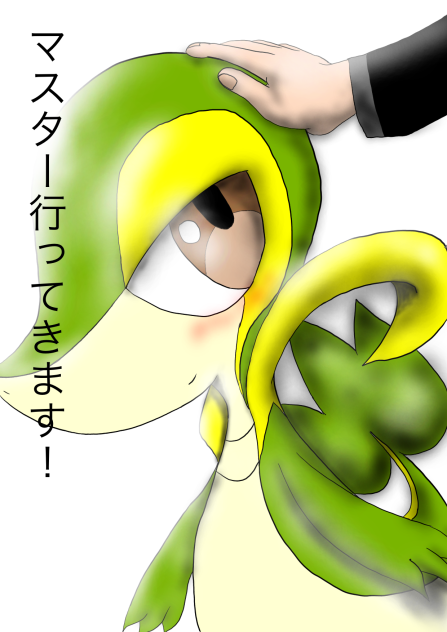 バトル前のツタージャ