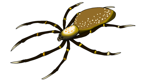 Mongolarachne jurassica2