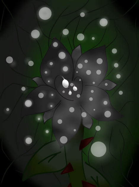 The Black Flower