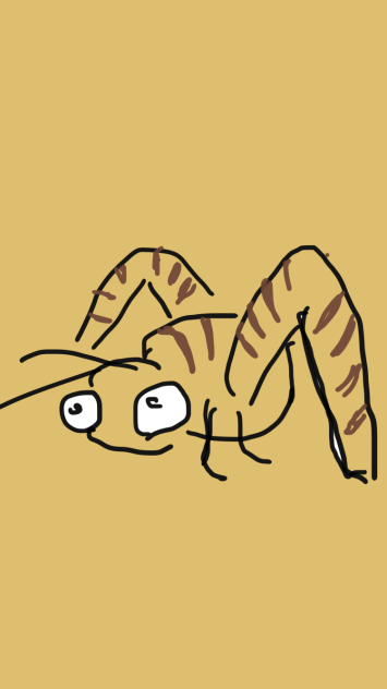 カマドウマ