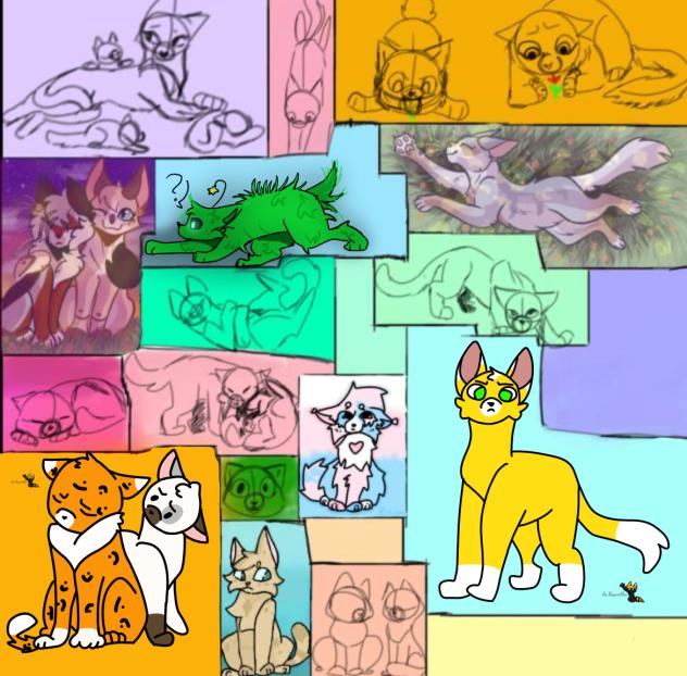 CAT COLLAB