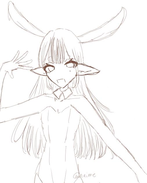 企画！！