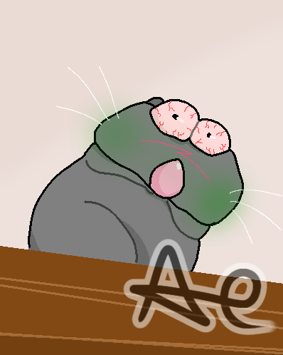 ratatouille 🐀