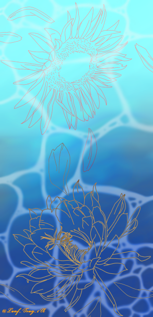 向日葵と月下美人