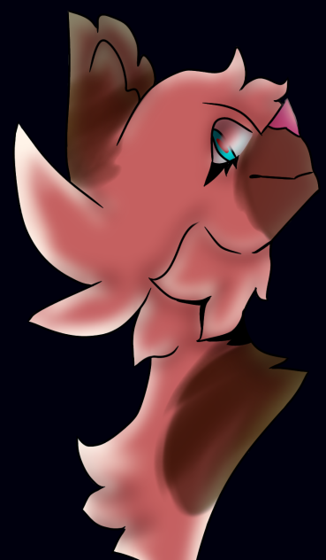 hawkfrost 🦅❄️