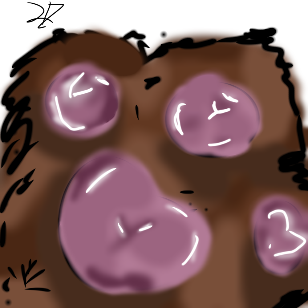Beans =3 - ibisPaint
