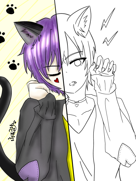 猫耳男子　合作しませんかｯ