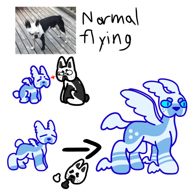 My dog as a Pokémon