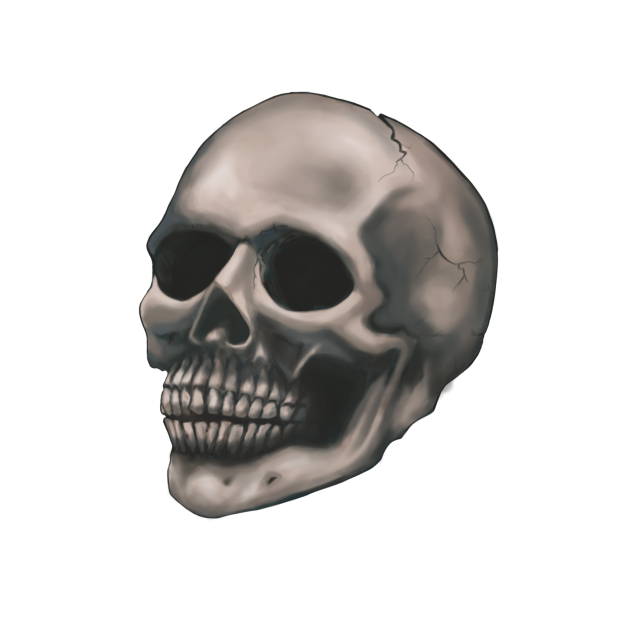 human skull