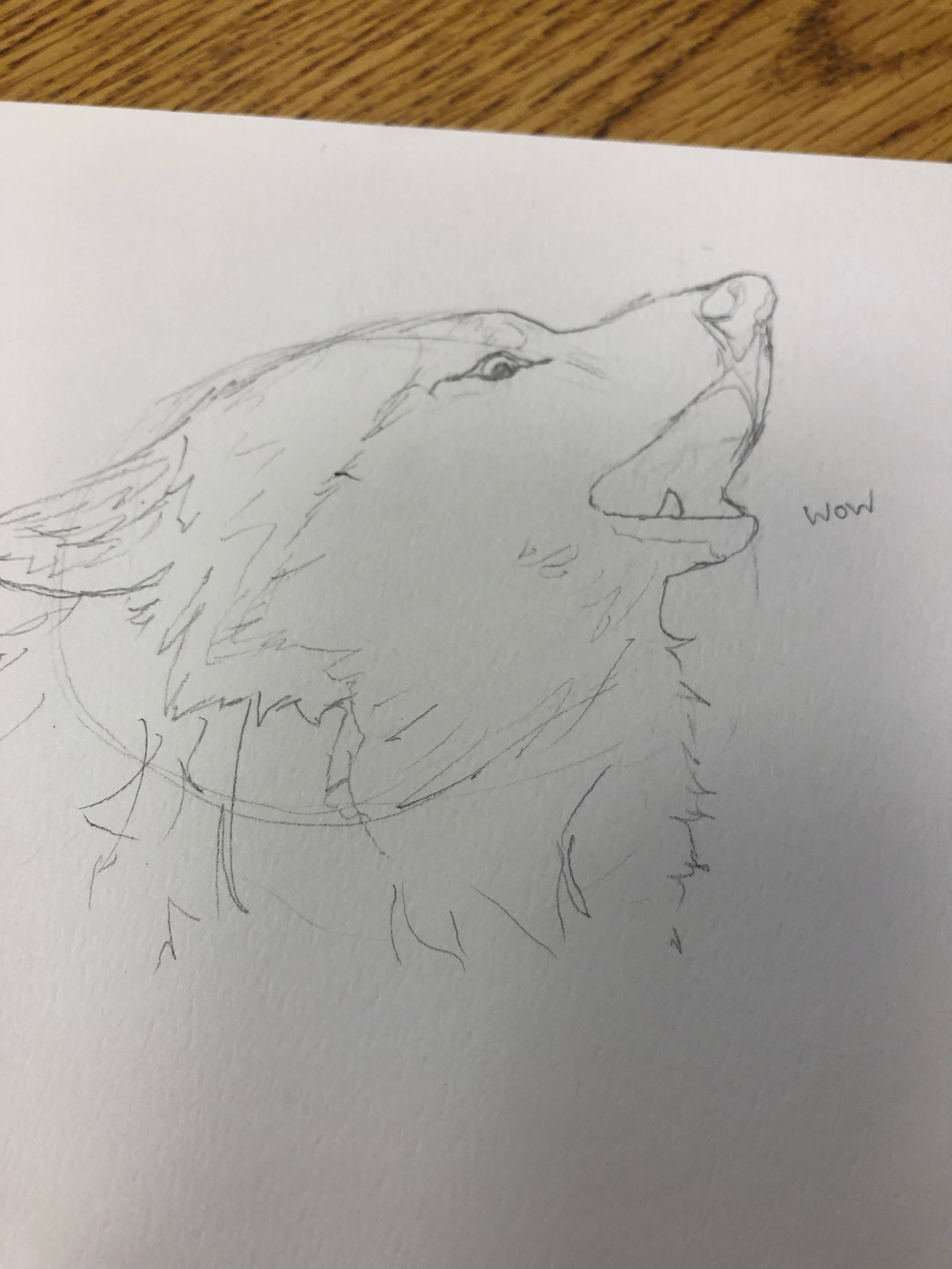 Something I made in art Class - ibisPaint