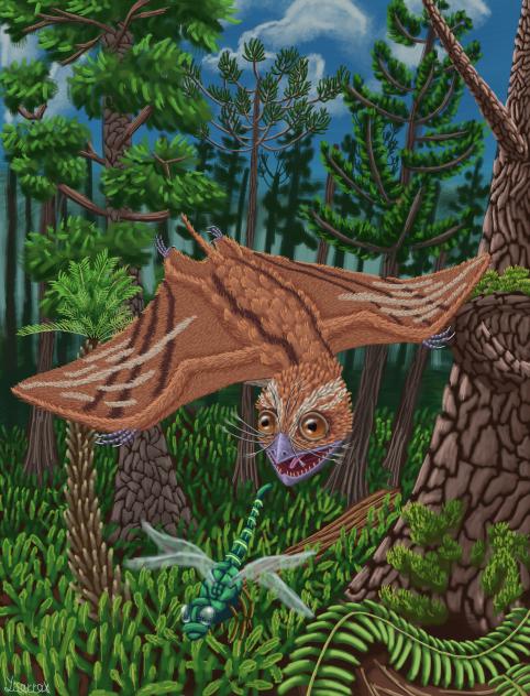 Anurognathus Ammoni Hunting