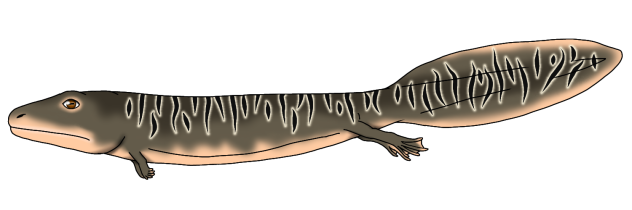Crassigyrinus scoticus render