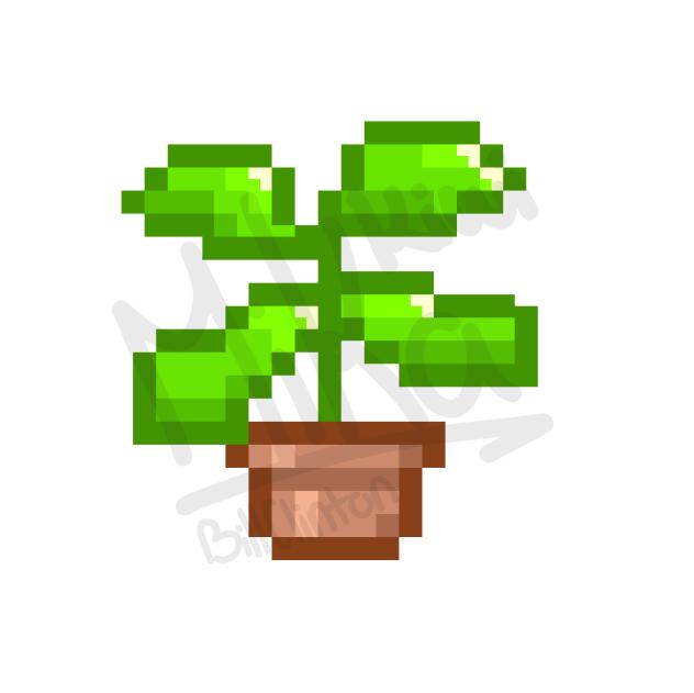 Plant in a pot