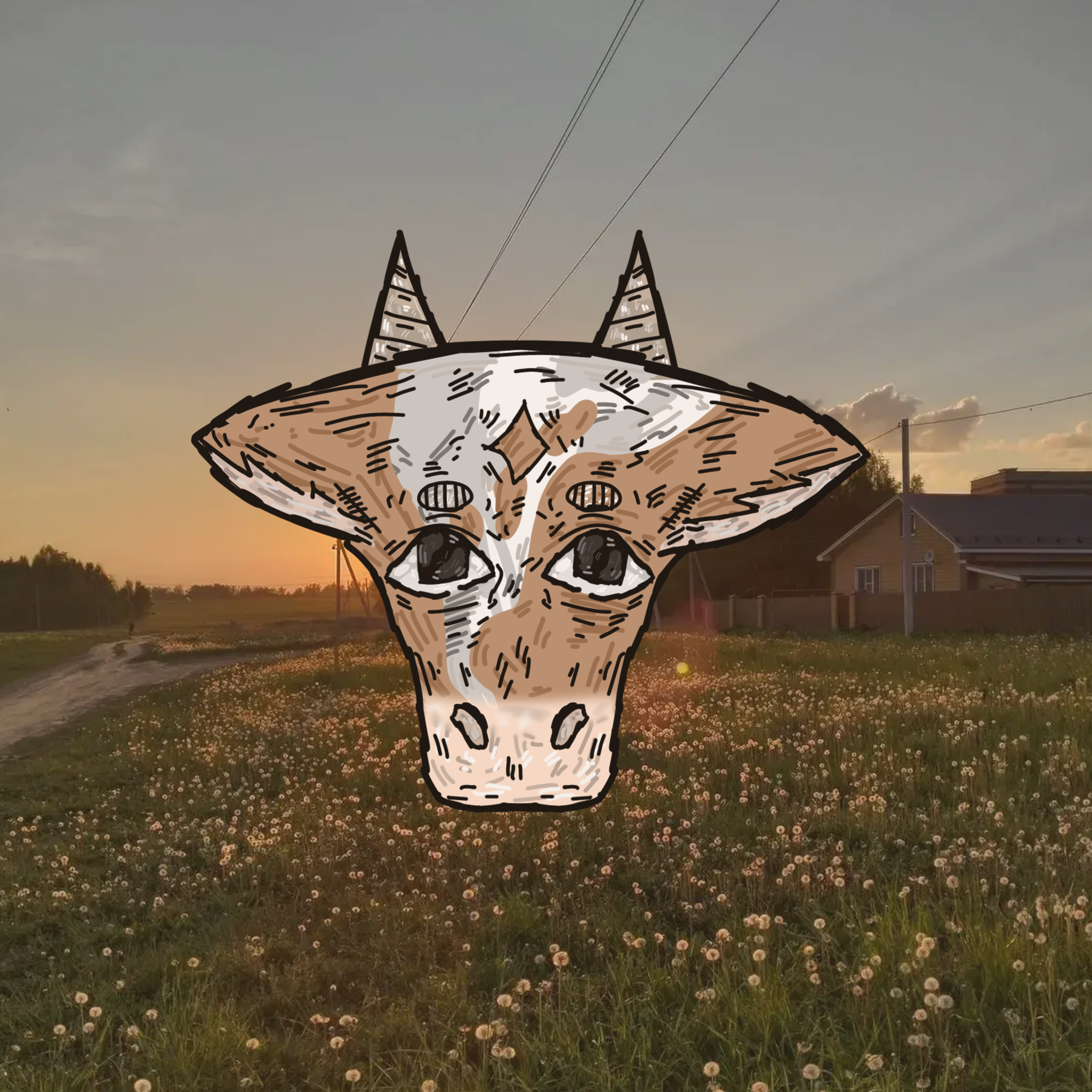 Cow - ibisPaint