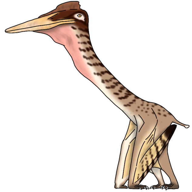 Quetzalcoatlus northropi render