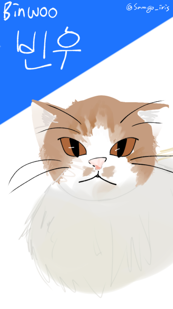 cat(고양이)