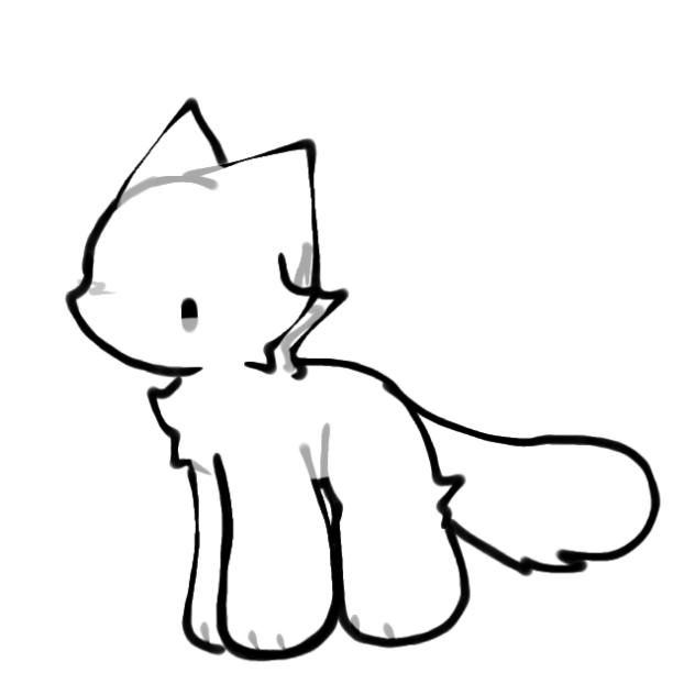 cat that walked & stoped halfway & again
