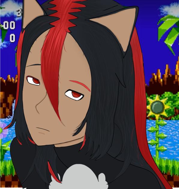 Shadow the hedgehog
