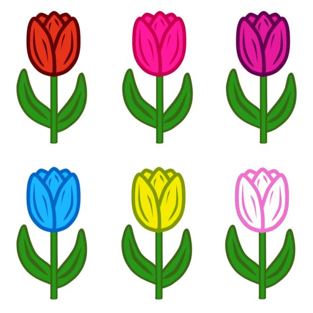 tulip flowers