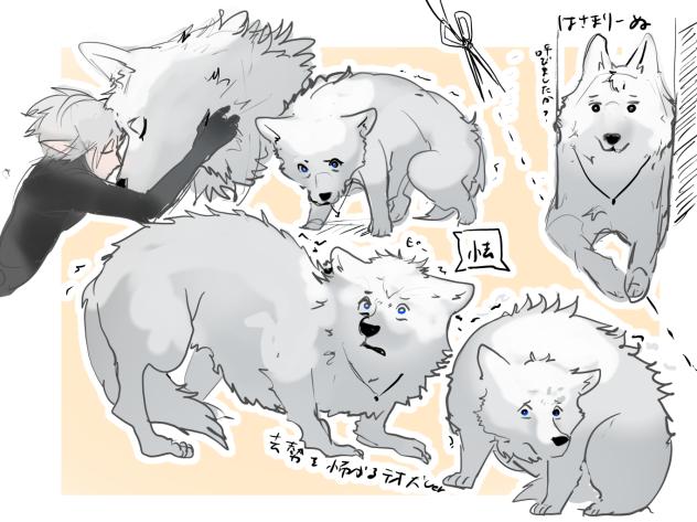 犬テオ①