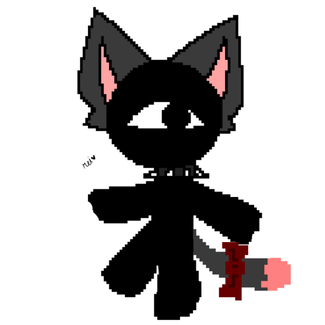 cat seek