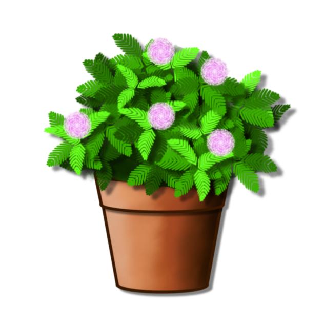 Plant Memosa Material Sticker