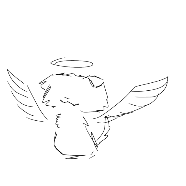 tribute for my 14 dead kittens