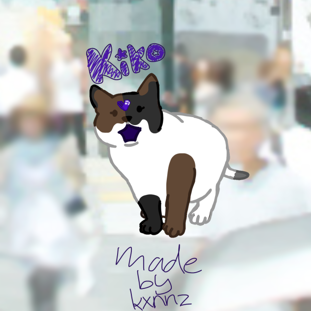 🤎🤍🖤Kiko🖤🤍🤎