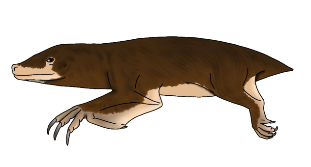 Molequail render