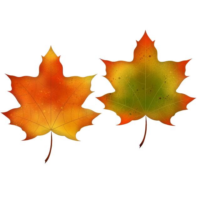 🍁