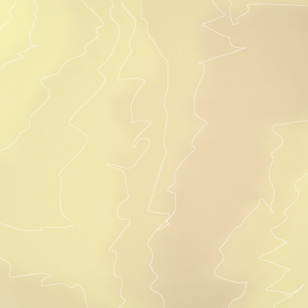 Sunny Sand