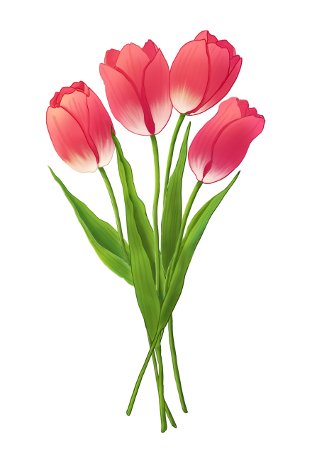 チューリップの花束