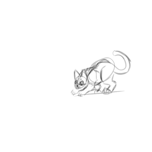 animation practice wip