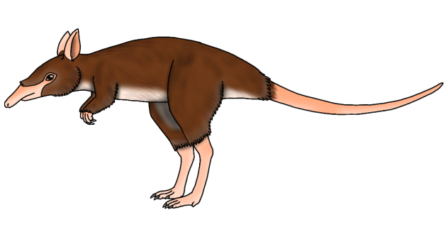 Leptictidium auderiense render