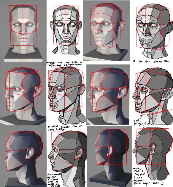 Asaro head practice - ibisPaint