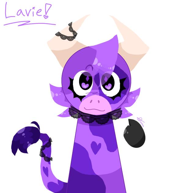LAVIE REDESIGN