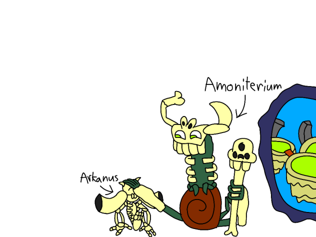 arkanus meeting amoniterium