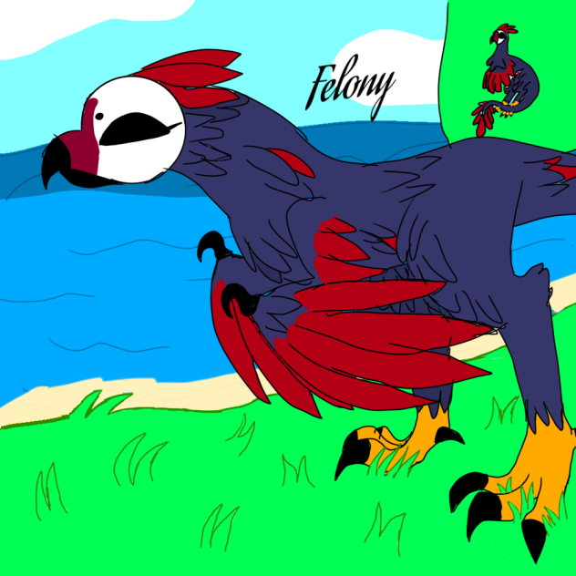 My book oc