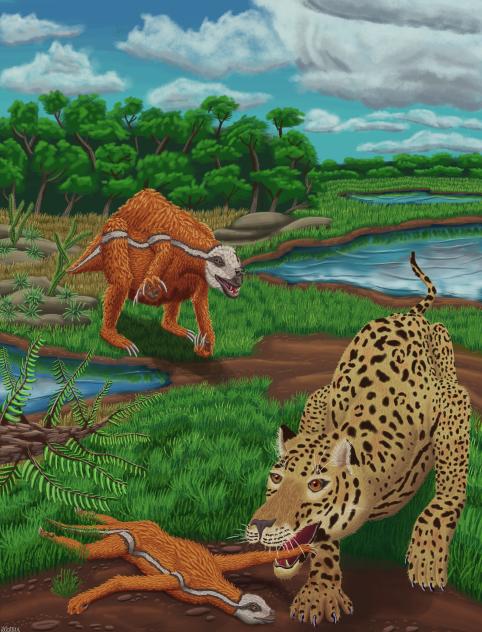 Xibalbaonyx Oviceps and Panthera Onca