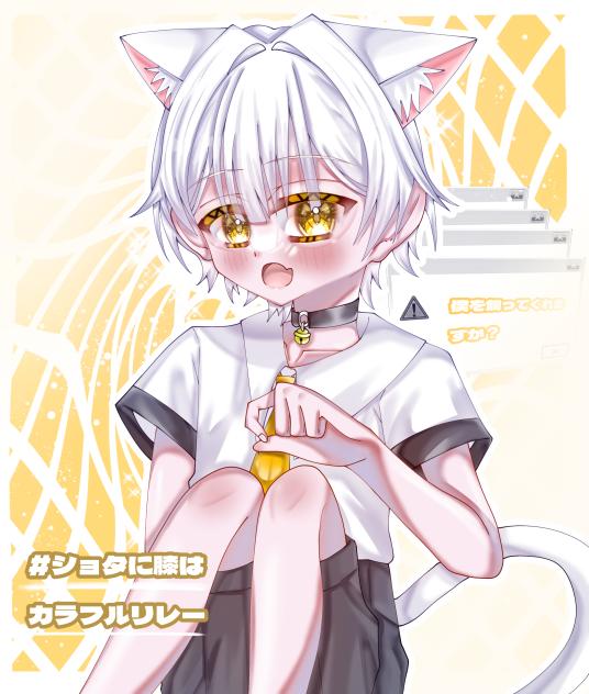 …にゃん🐱