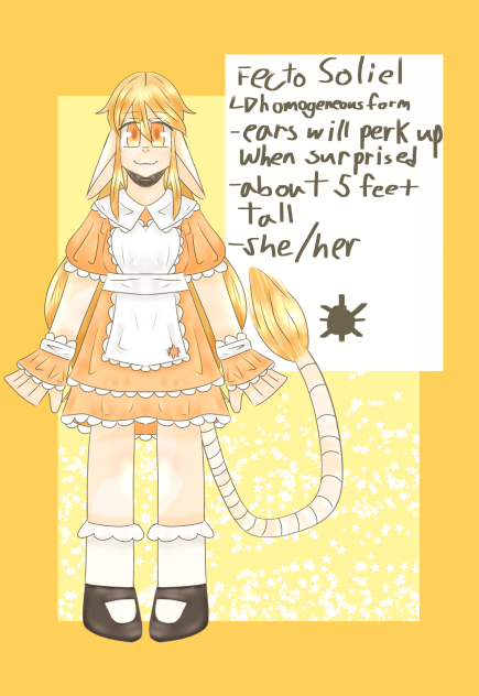 Soleil homogeneous form