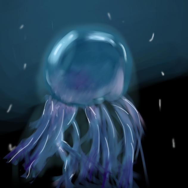 Jellyfish!!
