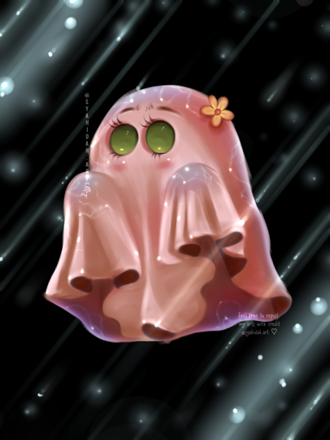 Boo 🌷