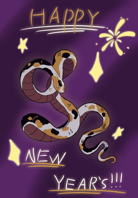 ✨Happy New Years!💫