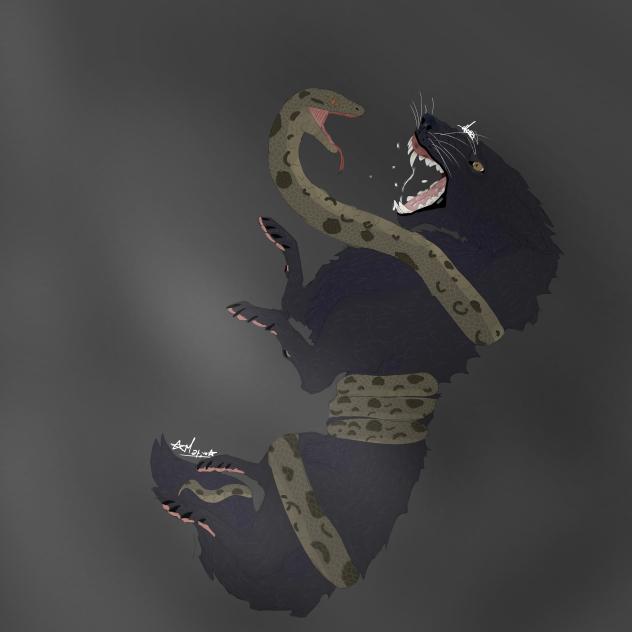 green anaconda and a wolf