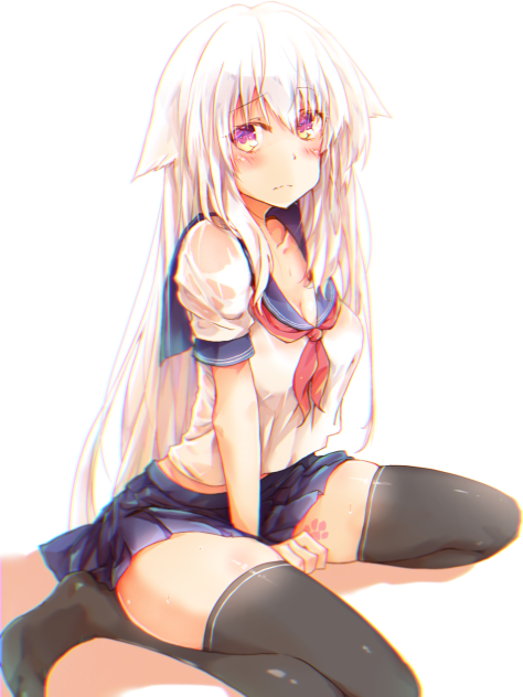セーラーシロちゃん