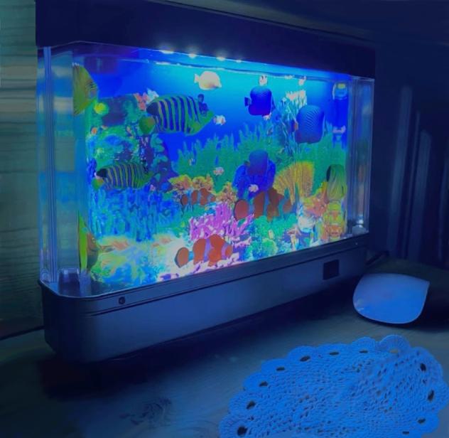 Under the sea🌊🐠