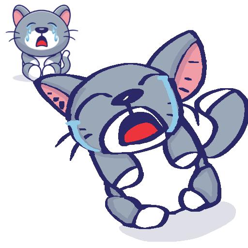 crying poor cat