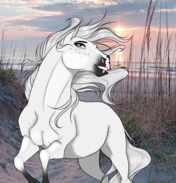 Pretty sunset - ibisPaint